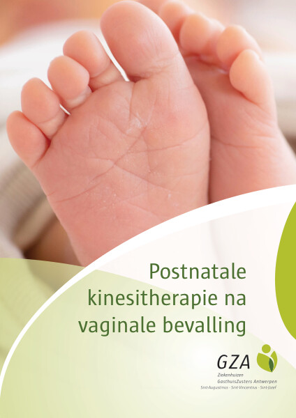 Cover page of the brochure Postnatale kinesitherapie na een vaginale bevalling