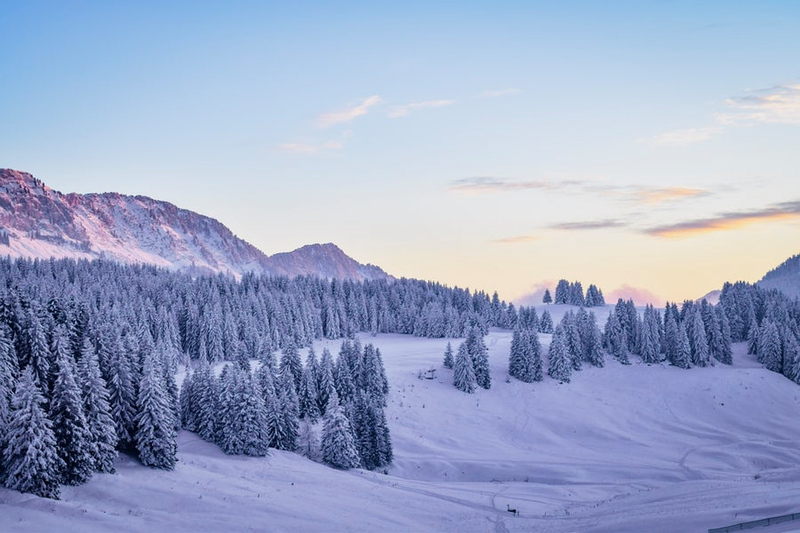 Winterlandschap met sparrenbos en bergtoppen op achtergrond