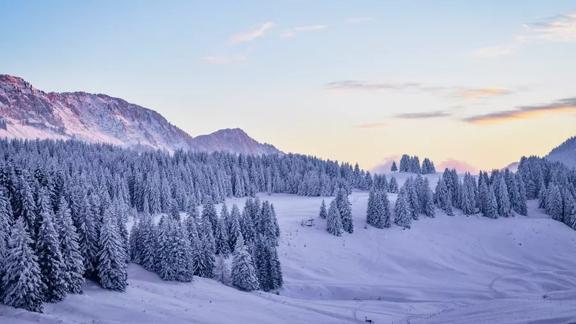 Winterlandschap met sparrenbos en bergtoppen op achtergrond